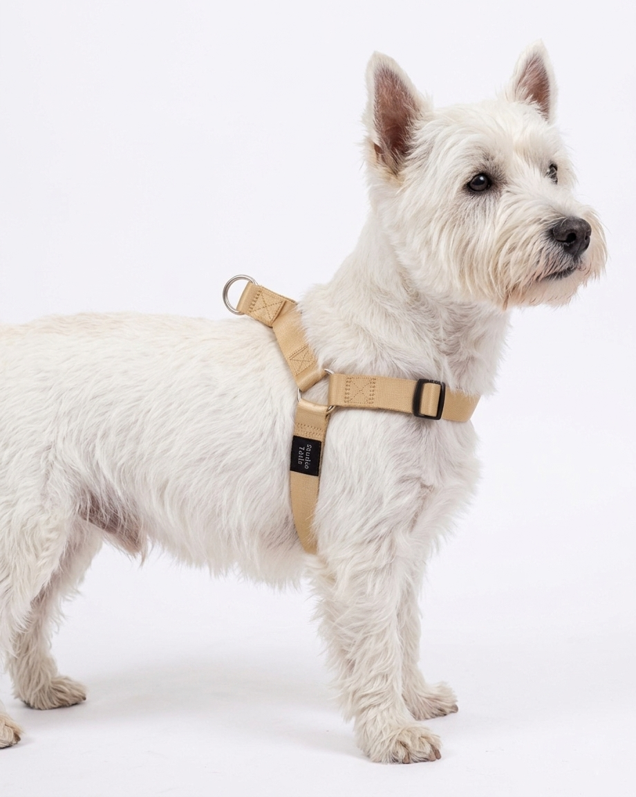Beige Harness