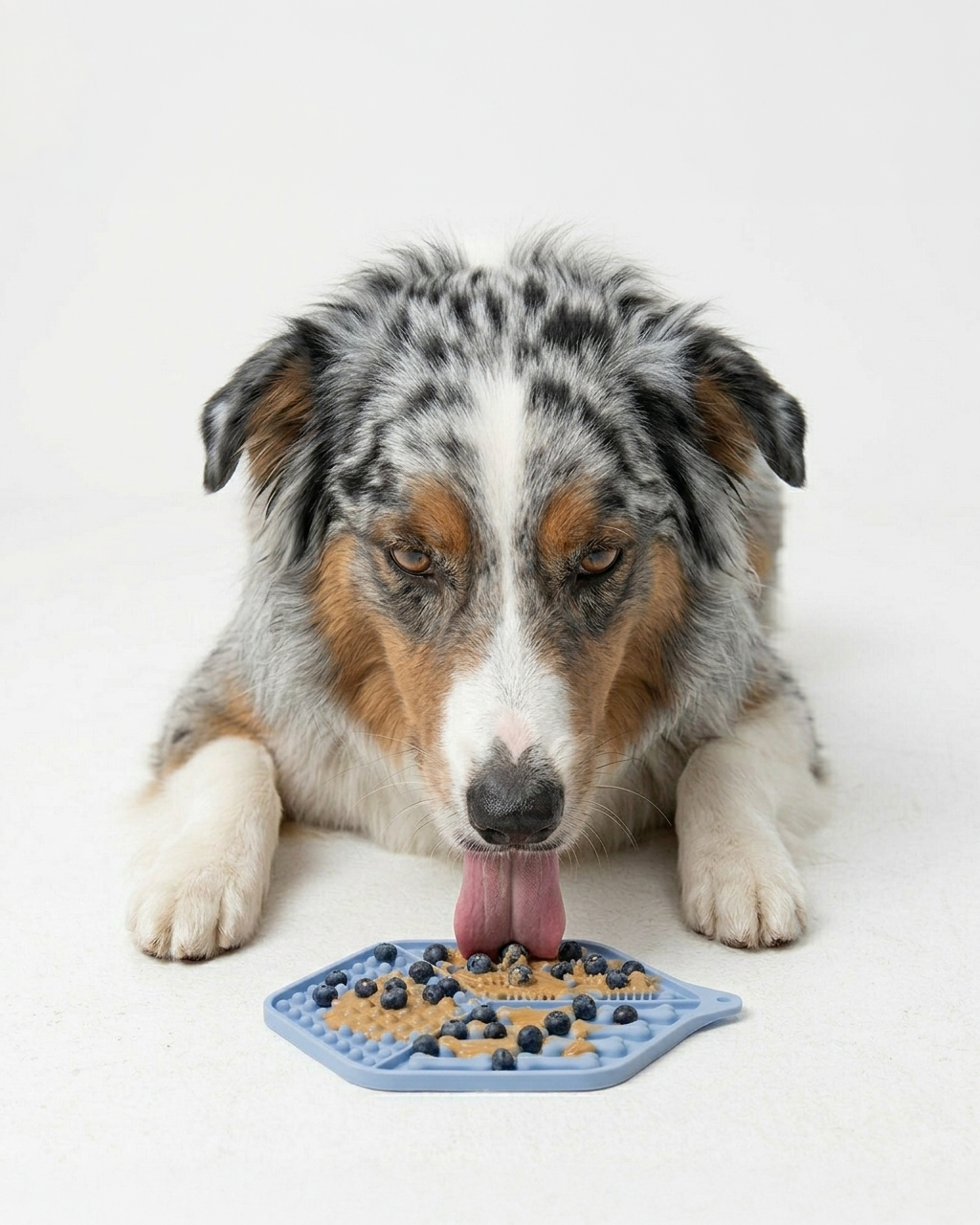 Blue Lick Mat Set