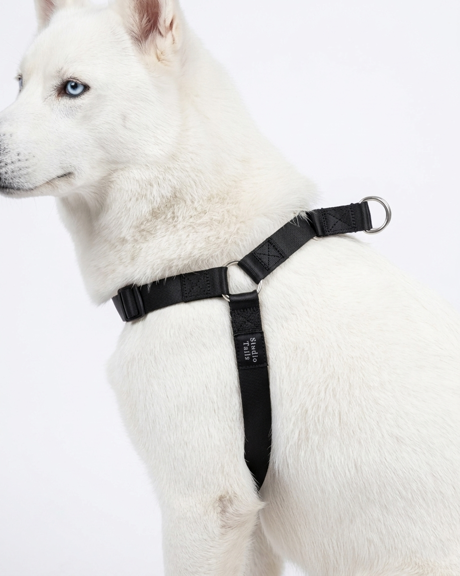 Obsidian Black Harness